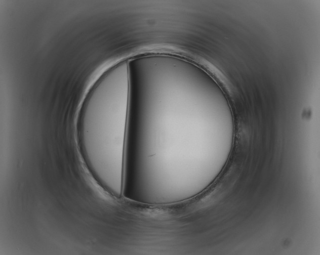 X0000097621082200802290815