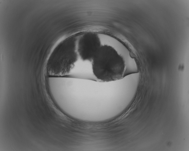 X0000097621083200802290815