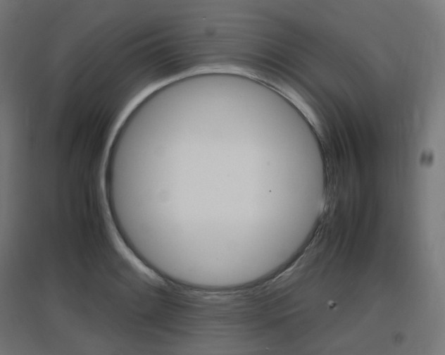 X0000097621084200802290815