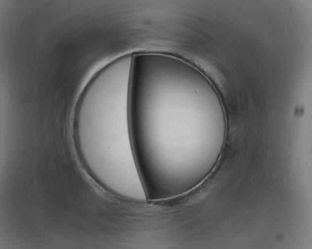 X0000097621085200802290815