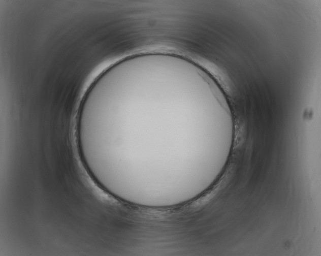 X0000097621086200802290815