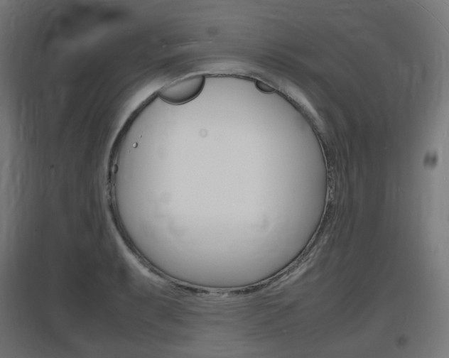 X0000097621087200802290815
