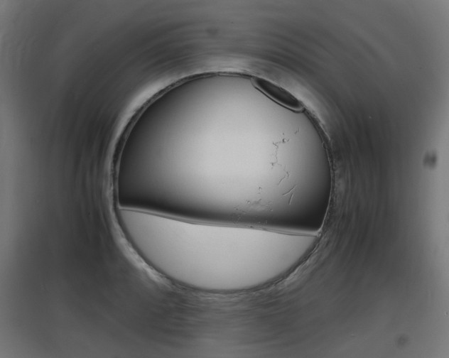 X0000097621088200802290814