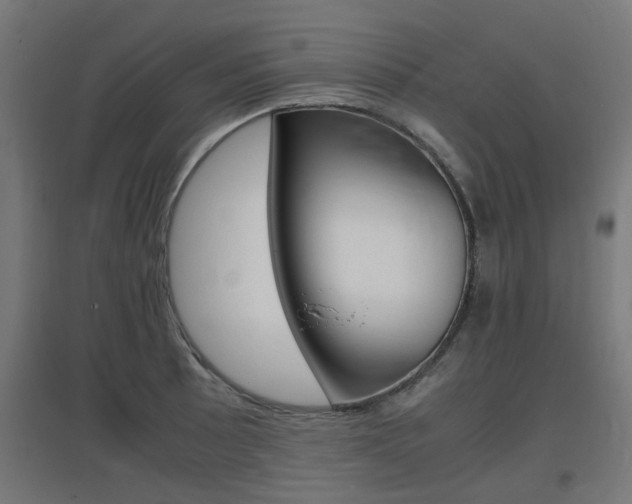X0000097621089200802290814