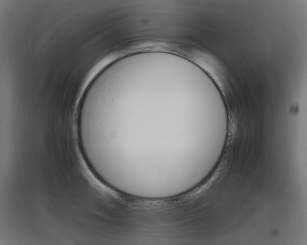 X0000097621090200802290814