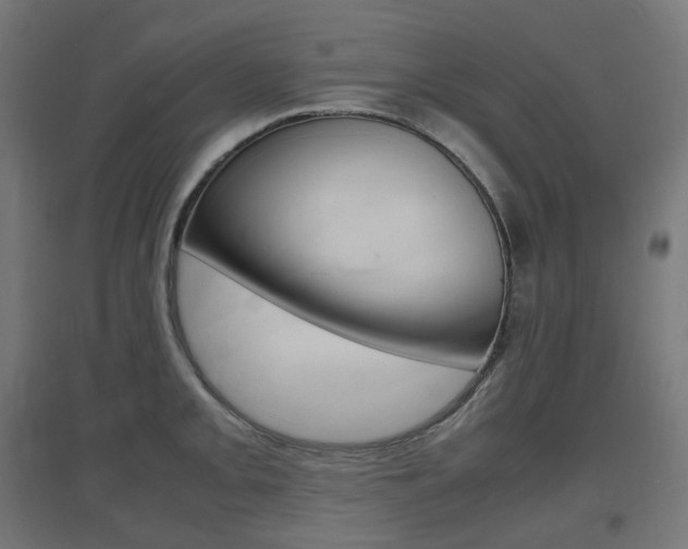 X0000097621093200802290814