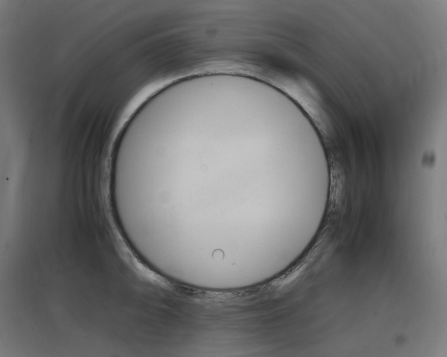 X0000097621094200802290814