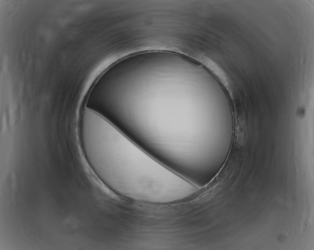 X0000097621096200802290814