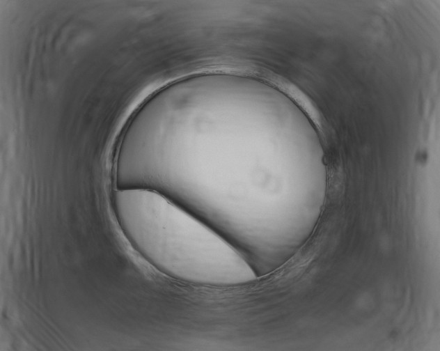 X0000097621099200802290814
