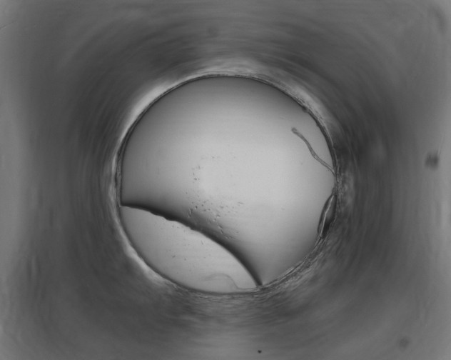X0000097621103200802290814