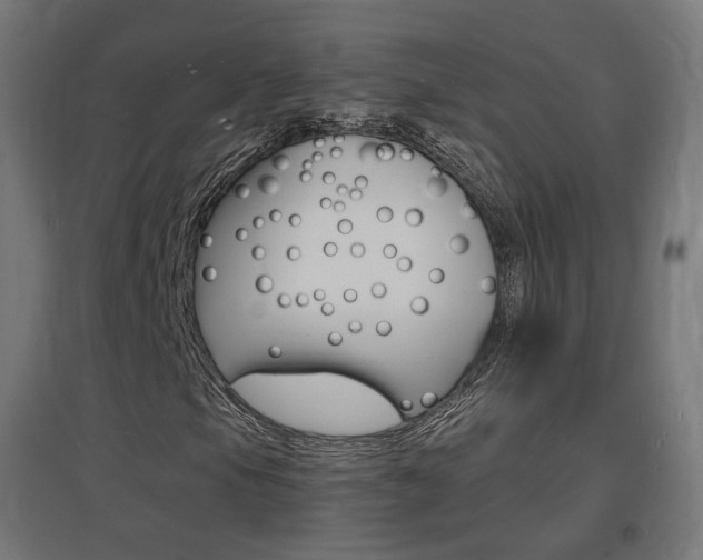 X0000097621105200802290814