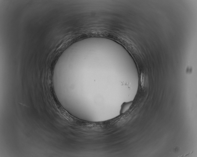 X0000097621107200802290814