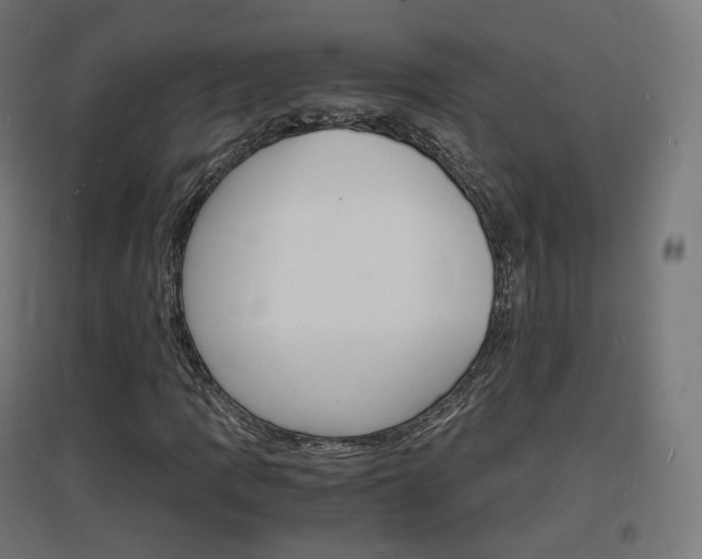 X0000097621109200802290814