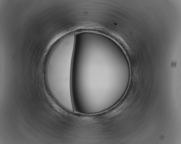 X0000097621114200802290814