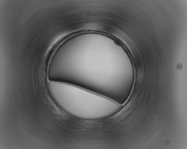 X0000097621115200802290814