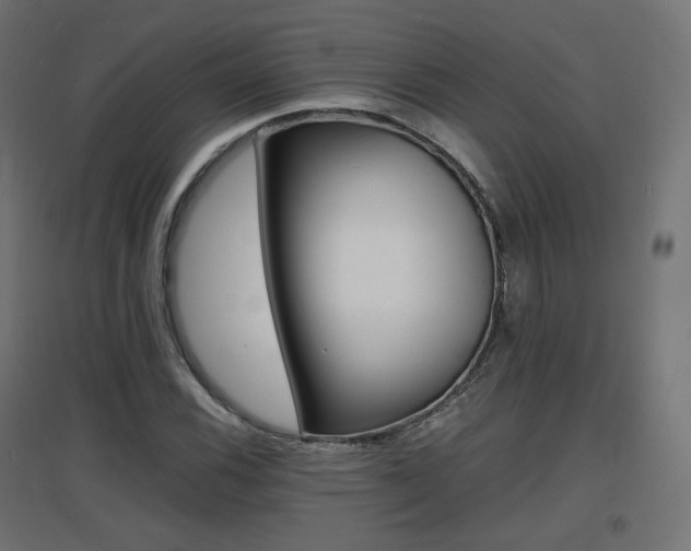 X0000097621116200802290814