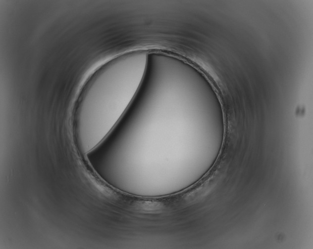 X0000097621119200802290814