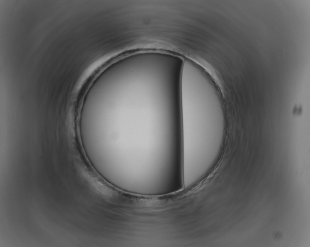 X0000097621120200802290814