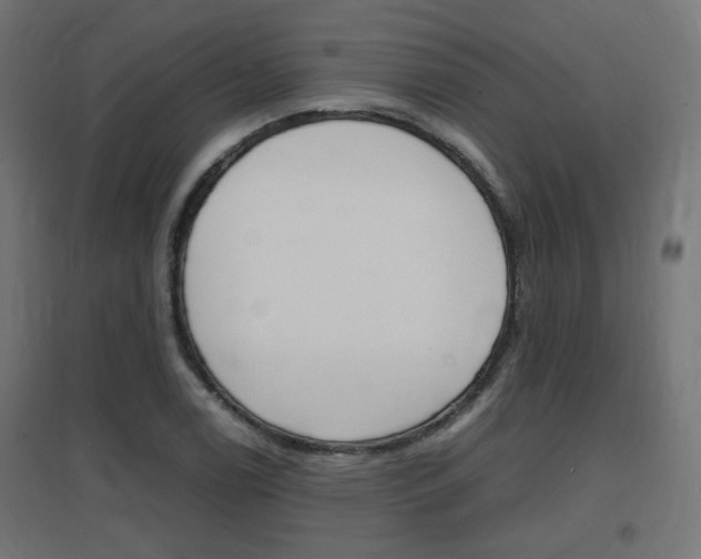 X0000097621122200802290814