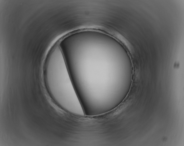 X0000097621124200802290814