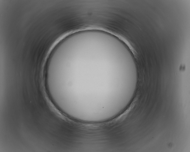 X0000097621126200802290814