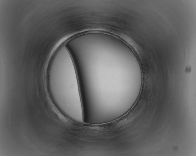 X0000097621127200802290814