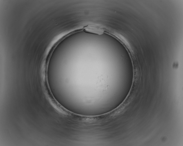X0000097621128200802290814