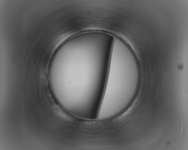 X0000097621129200802290814