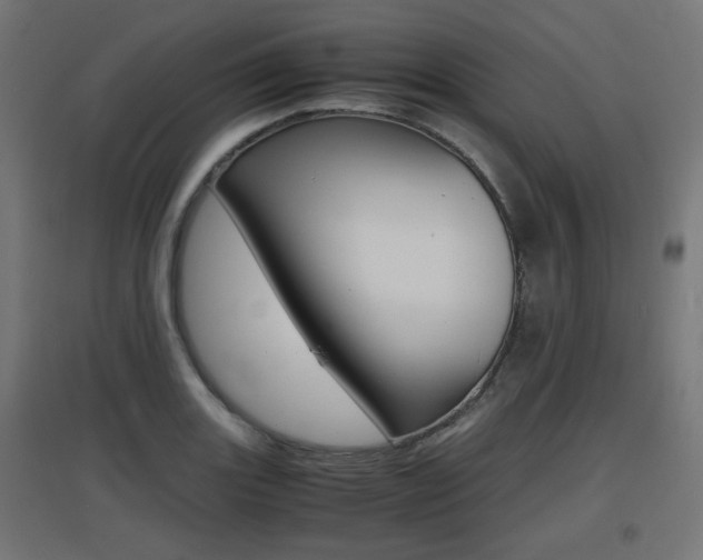X0000097621131200802290814