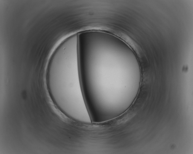 X0000097621132200802290814