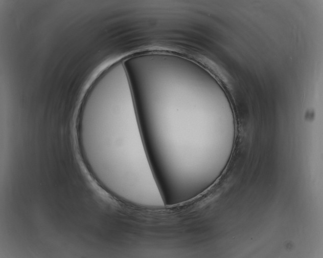 X0000097621133200802290814