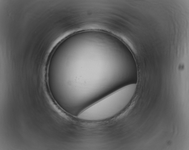 X0000097621134200802290814