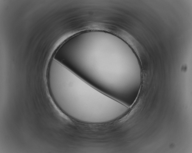 X0000097621141200802290814