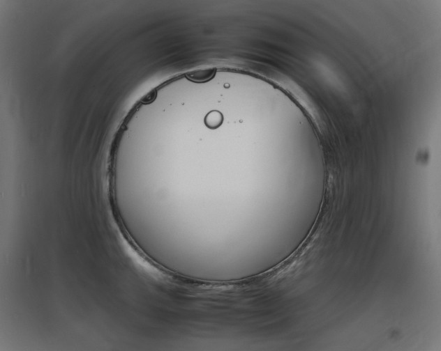 X0000097621143200802290814