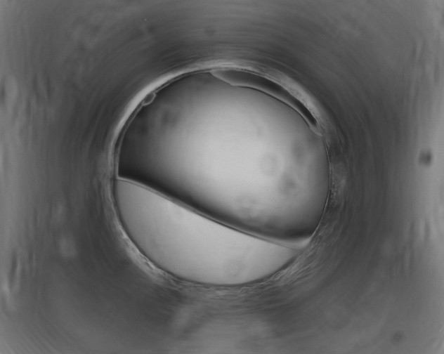 X0000097621148200802290814