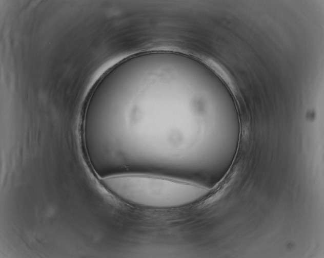 X0000097621149200802290814