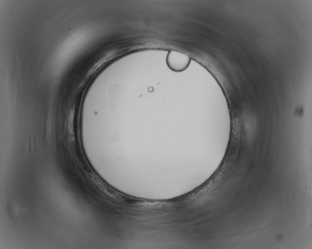 X0000097621150200802290814