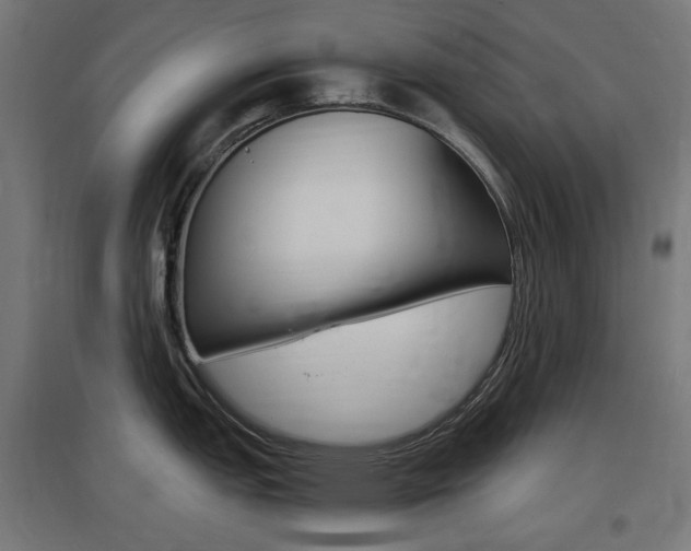 X0000097621151200802290814