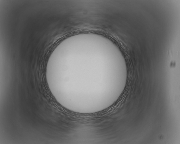 X0000097621157200802290814