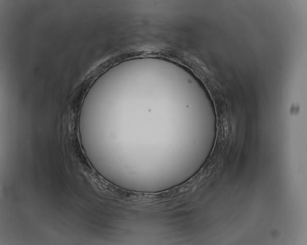 X0000097621158200802290814
