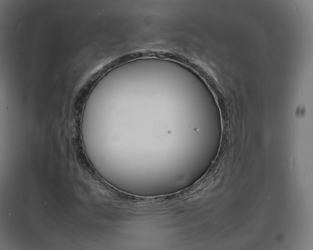 X0000097621159200802290814