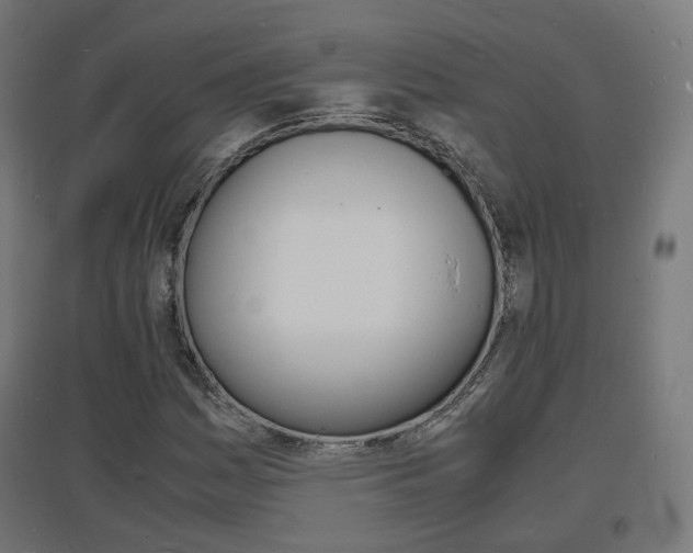 X0000097621161200802290813