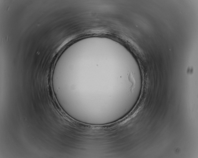 X0000097621162200802290813