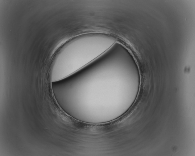 X0000097621163200802290813