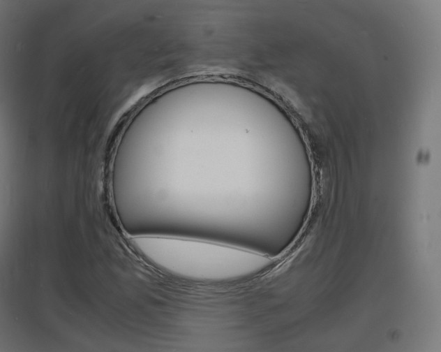 X0000097621165200802290813