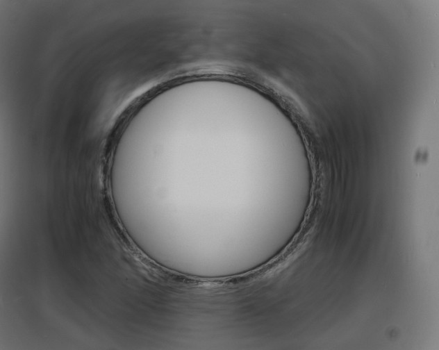 X0000097621166200802290813