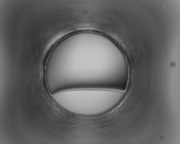 X0000097621167200802290813