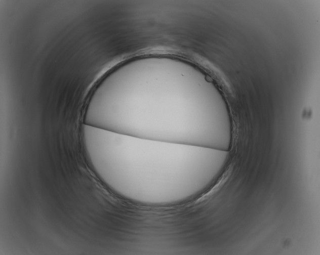 X0000097621170200802290813