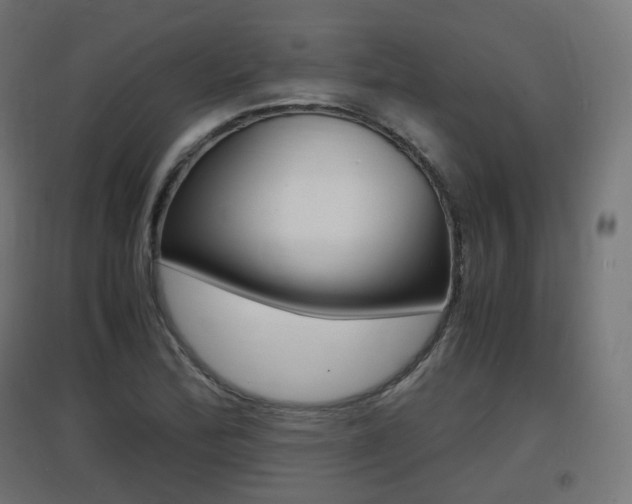 X0000097621172200802290813