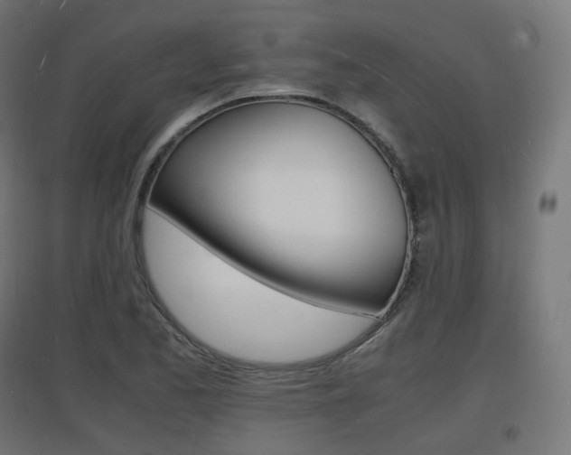 X0000097621173200802290813